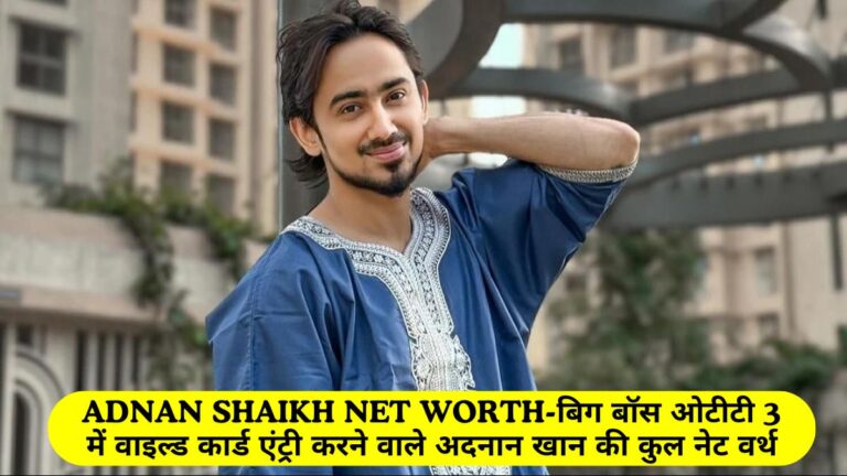 Adnan Shaikh Net Worth