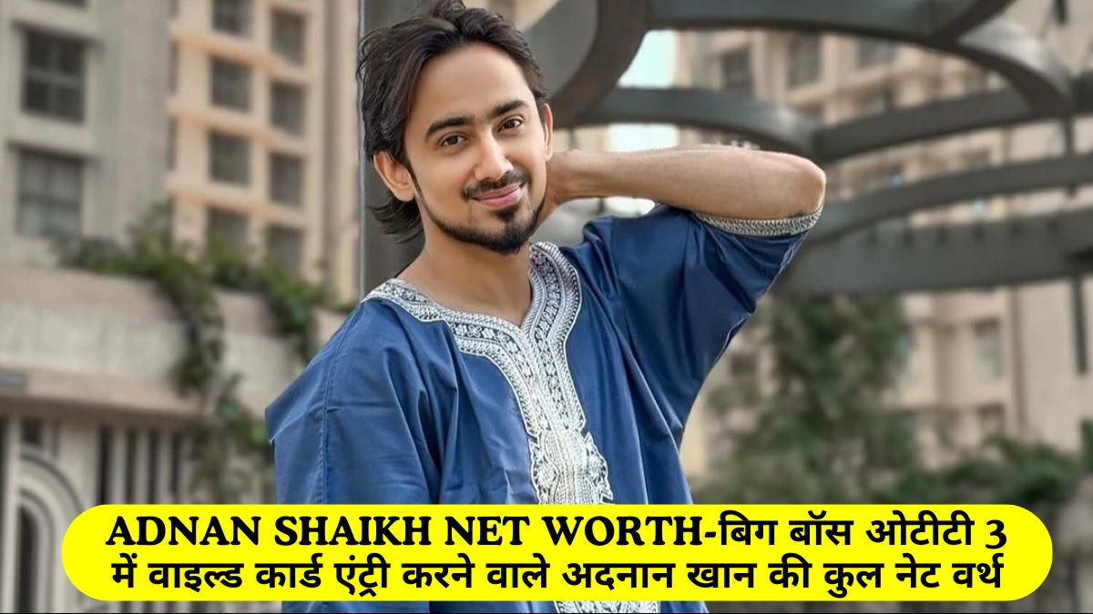 Adnan Shaikh Net Worth