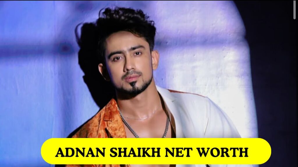 Adnan Shaikh Net Worth